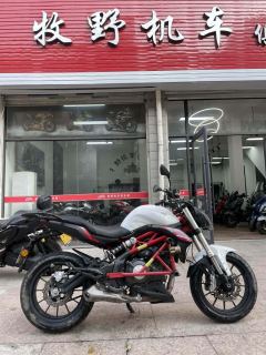 Benelli TNT 300 / BN 302S - ფოტო 1