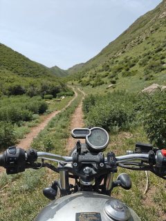 QJMOTOR Yishi 250 - ფოტო 3