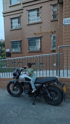 QJMOTOR Yishi 250 - ფოტო 5