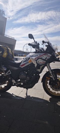 Cyclone RX600 560 cc - фото 4
