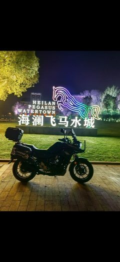 Haojue Suzuki DL250 - ფოტო 2