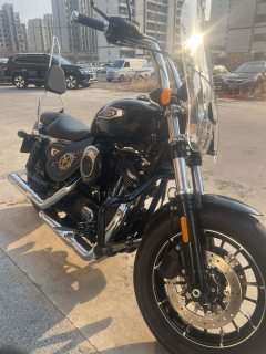SHINERAY 12,200 1200 cc - ფოტო 5