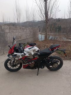 QJMOTOR SRK 250 - ფოტო 1