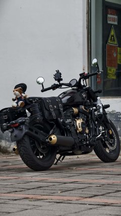 Cyclone RA600 560 cc - ფოტო 1