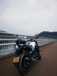 Benelli Leoncino 500 - ფოტო 2