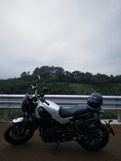 Benelli Leoncino 500 - ფოტო 3