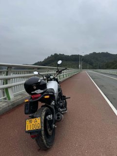 Benelli Leoncino 500 - ფოტო 4