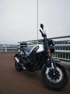 Benelli Leoncino 500 - ფოტო 5