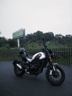 Benelli Leoncino 500 - ფოტო 7