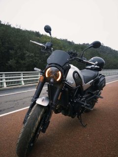 Benelli Leoncino 500 - ფოტო 8
