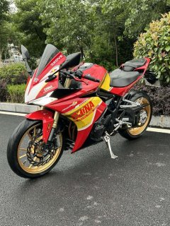 Kayo 321RR 320 cc - ფოტო 3