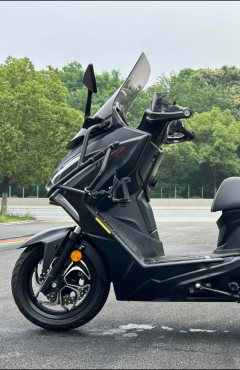 QJMOTOR Hong 250 - ფოტო 4