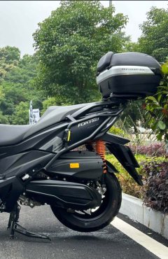 QJMOTOR Hong 250 - ფოტო 5
