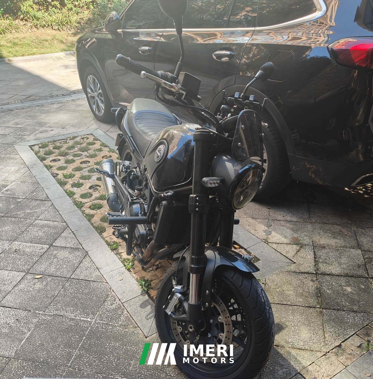 2019 Benelli Leoncino 500