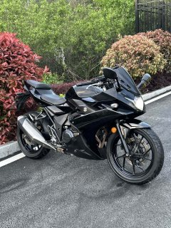 Haojue Suzuki GSX250R - photo 1