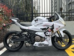 QJMOTOR SRK 250 - ფოტო 5
