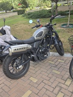 Honda CL300 - ფოტო 3