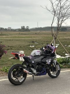 Yuantu GP250 - ფოტო 2
