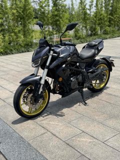QJMOTOR Chase 350 - ფოტო 8