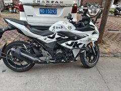 Haojue Suzuki GSX250R - ფოტო 3