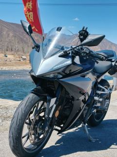 Kayo 321RR 320 cc - ფოტო 2