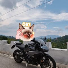 Kayo 321RR 320 cc - ფოტო 3