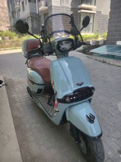 Weiduoliya Sixties 250Si - ფოტო 3