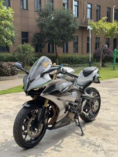 QJMOTOR SRK 450 - фото 2