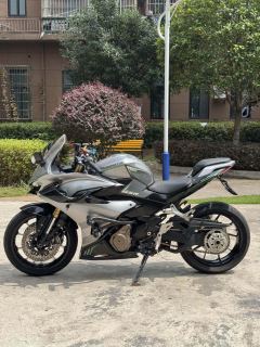 QJMOTOR SRK 450 - фото 3