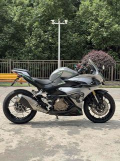 QJMOTOR SRK 450 - фото 6