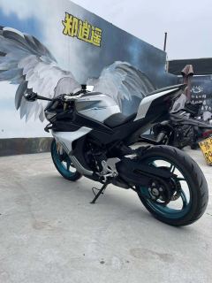 CFMOTO 450SR - ფოტო 6