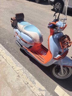 Weiduoliya Sixties 250Si - ფოტო 5