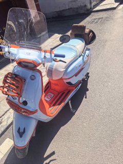 Weiduoliya Sixties 250Si - ფოტო 6