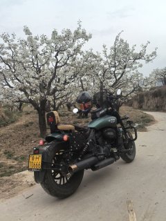 Yiqi 350 cc - ფოტო 6