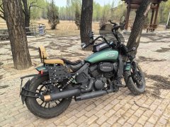 Yiqi 350 cc - ფოტო 8