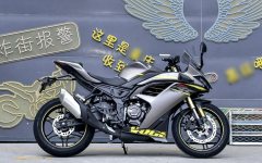Voge 250RR - ფოტო 1