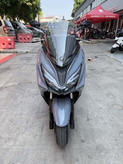 QJMOTOR Hong 250 - photo 2