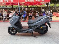 QJMOTOR Hong 250 - photo 6