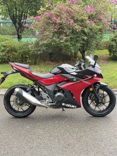 Haojue Suzuki GSX250R - фото 6