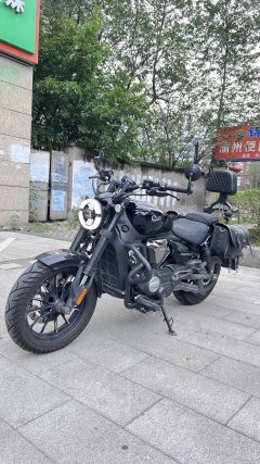 Cyclone AQS250 - фото 3