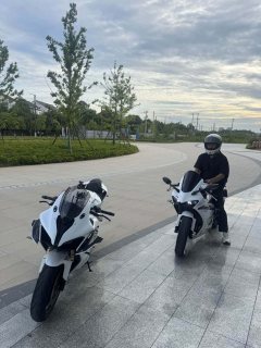QJMOTOR Sai 600 680 cc - фото 2