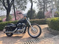 SHINERAY 12,200 1200 cc - ფოტო 11