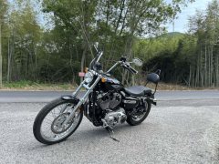 SHINERAY 12,200 1200 cc - ფოტო 4