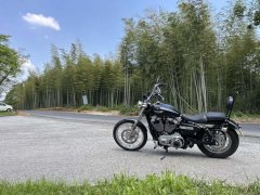 SHINERAY 12,200 1200 cc - ფოტო 5