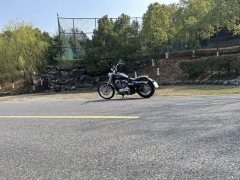 SHINERAY 12,200 1200 cc - ფოტო 6