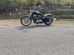 SHINERAY 12,200 1200 cc - ფოტო 7