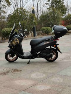 Jianshe Yamaha Eagle 125 - ფოტო 4