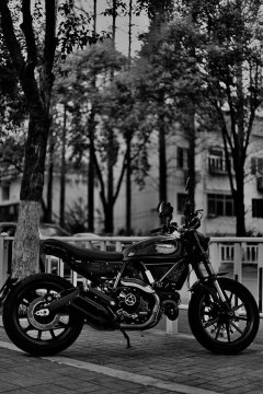 Ducati Scrambler 800 - ფოტო 3