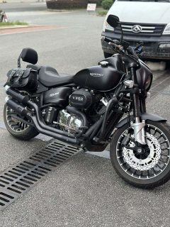 Leike RX3 250 cc - ფოტო 2