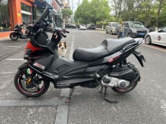 Zongshengapuliya SR Max 250 - ფოტო 3